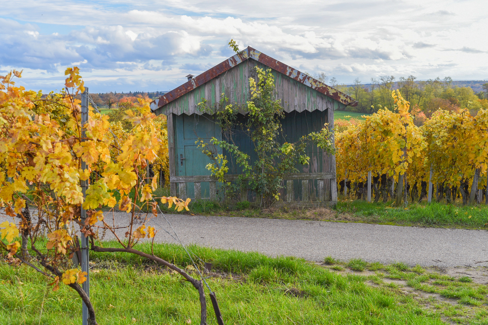 Herbst in seinen schönsten Farben!