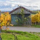 Herbst in seinen schönsten Farben!