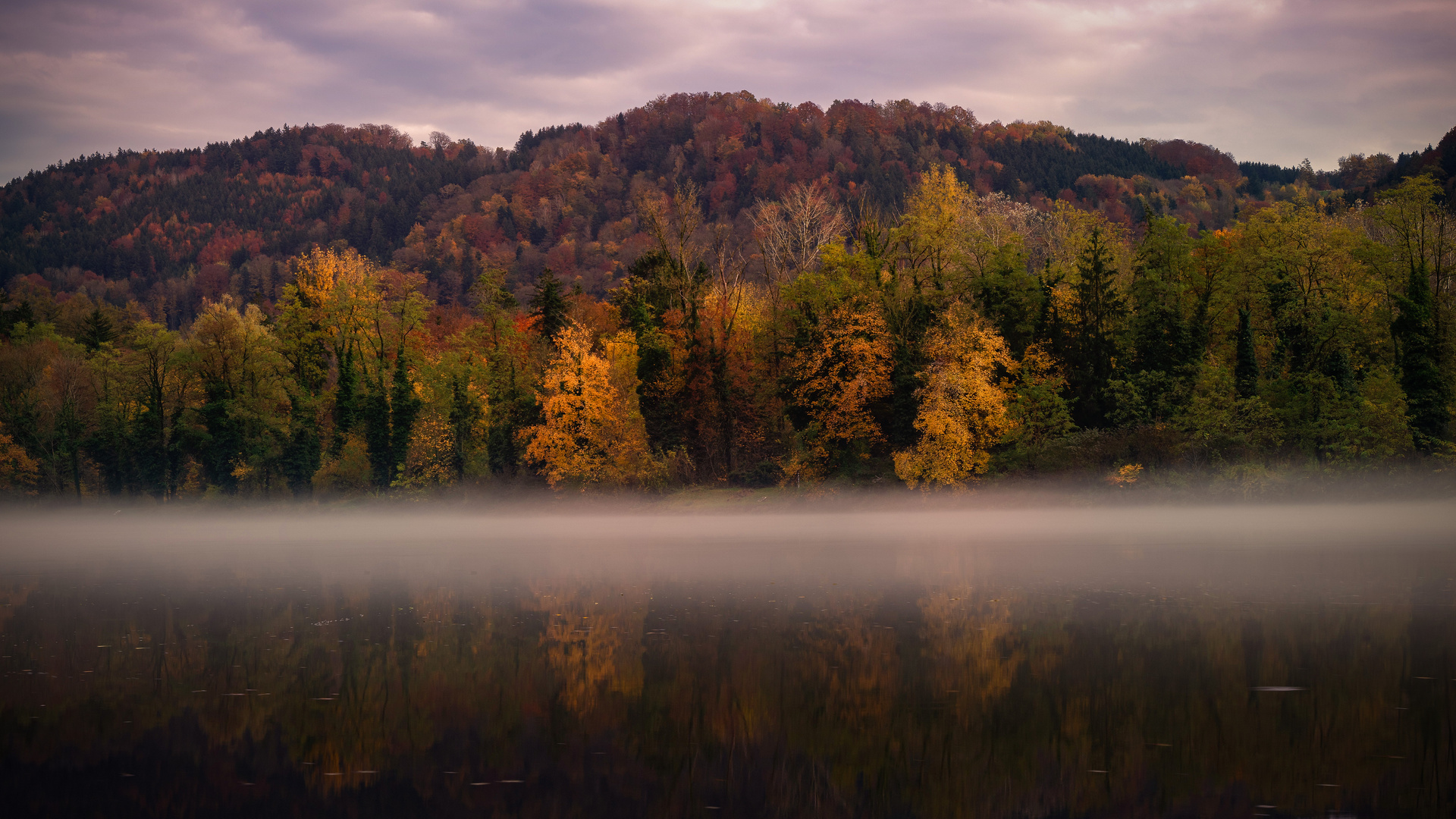 Herbst in seinen schönsten Farben