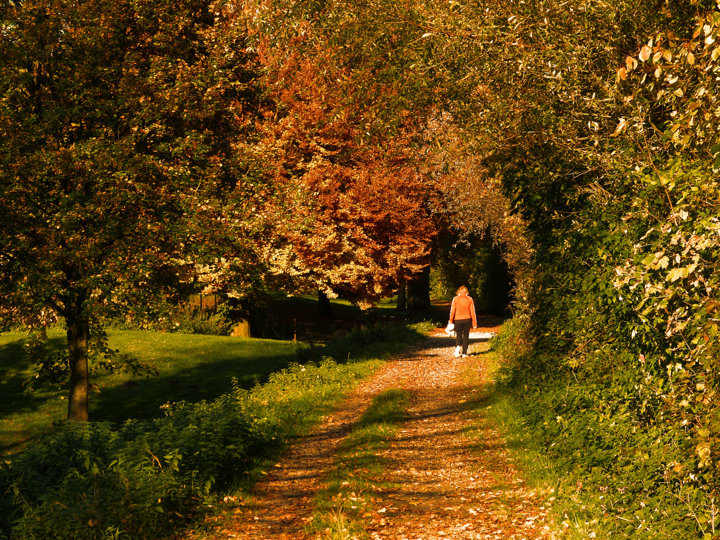 Herbst - in seiner schönsten Form