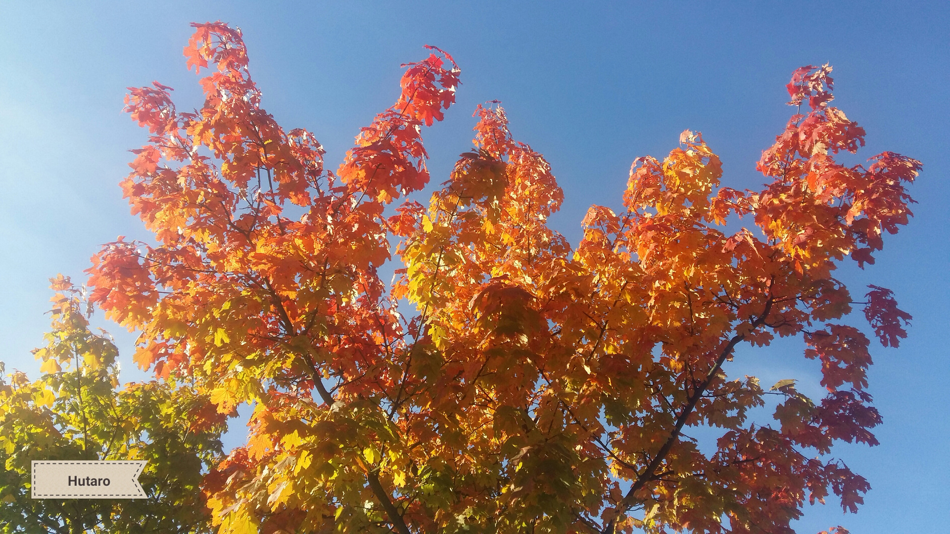 Herbst in seiner schönsten Form!
