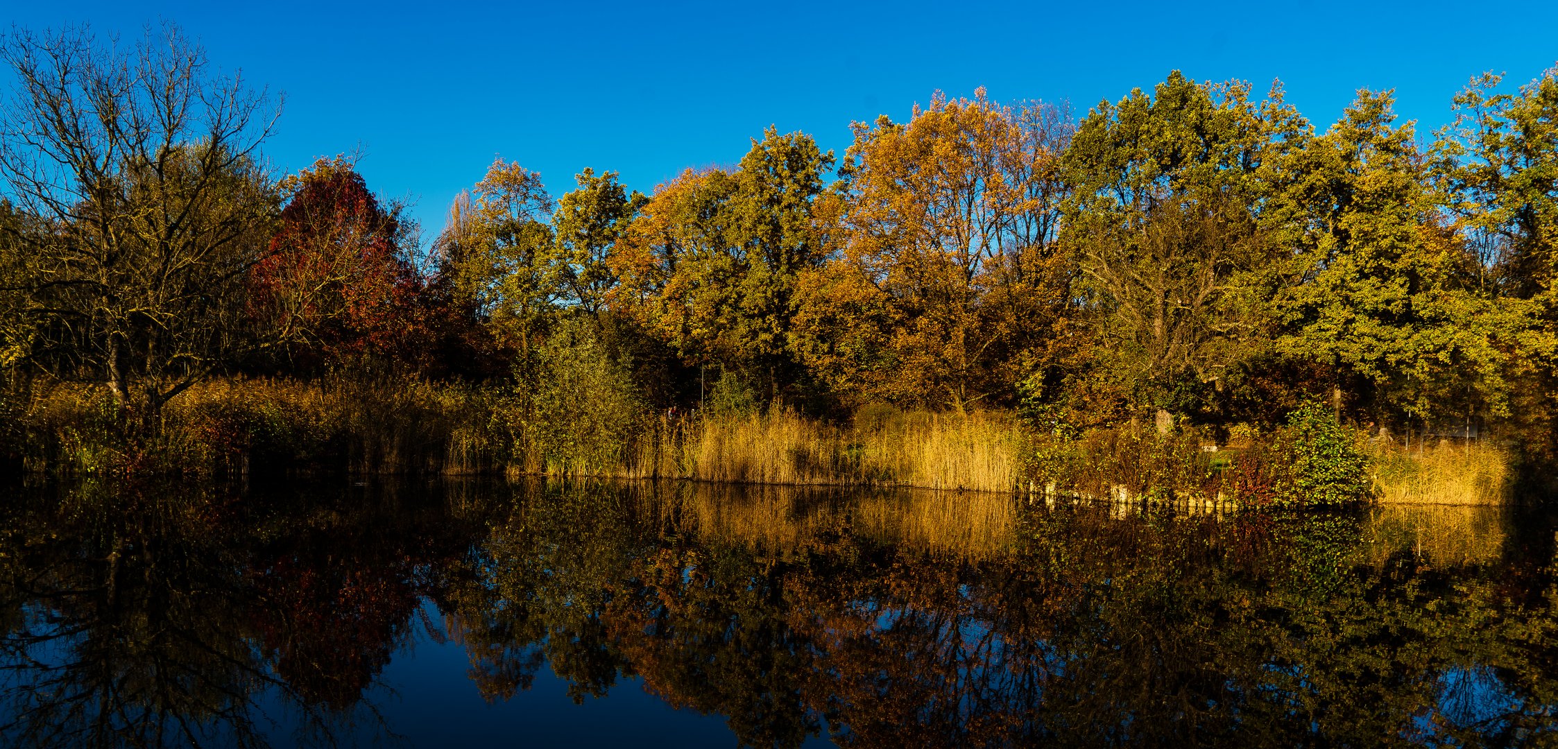 Herbst in seiner schönsten Form 