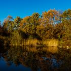 Herbst in seiner schönsten Form 