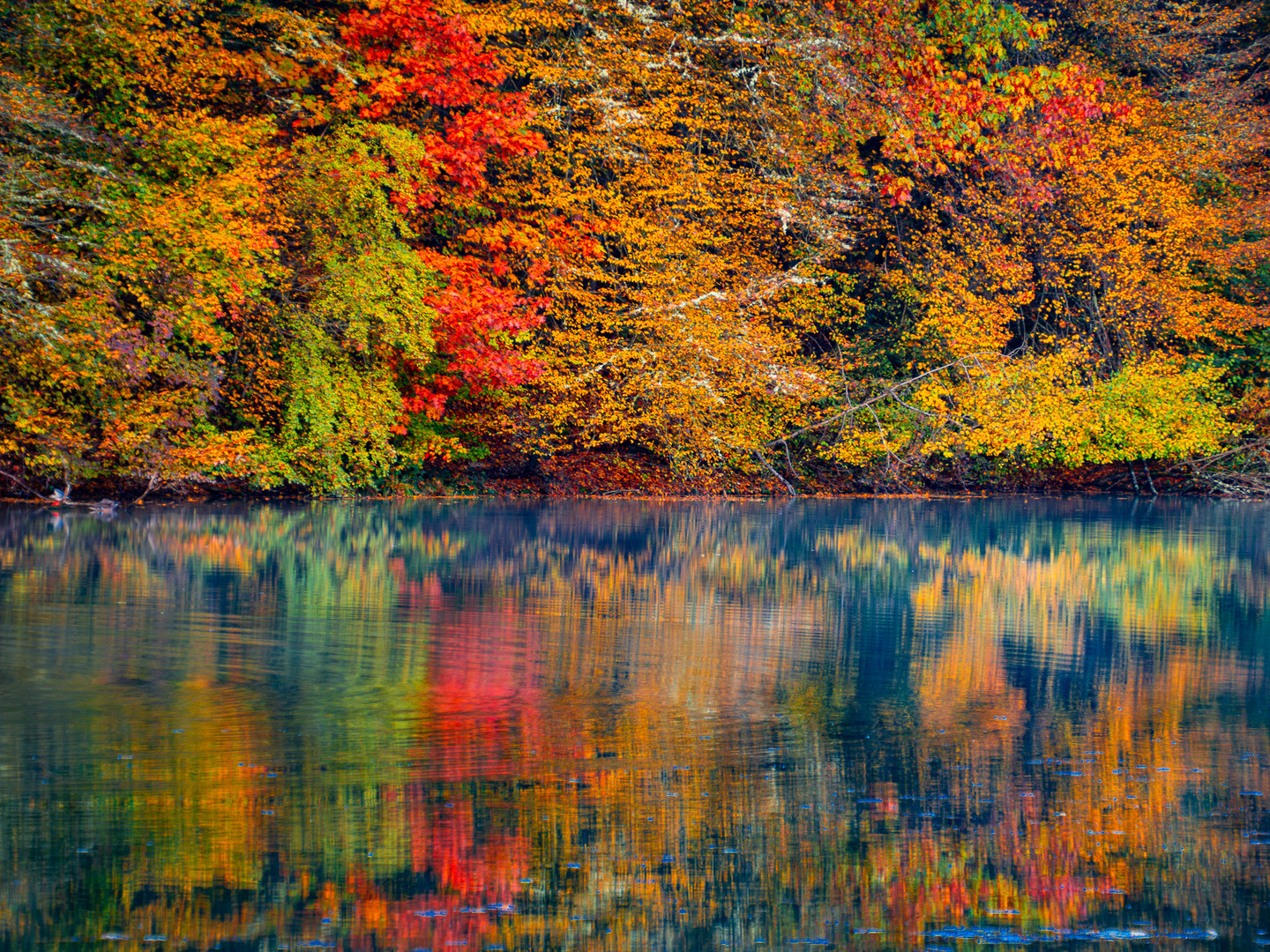 Herbst in seiner schönsten Form und Farbe