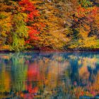 Herbst in seiner schönsten Form und Farbe