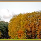 Herbst in seiner vollen Pracht