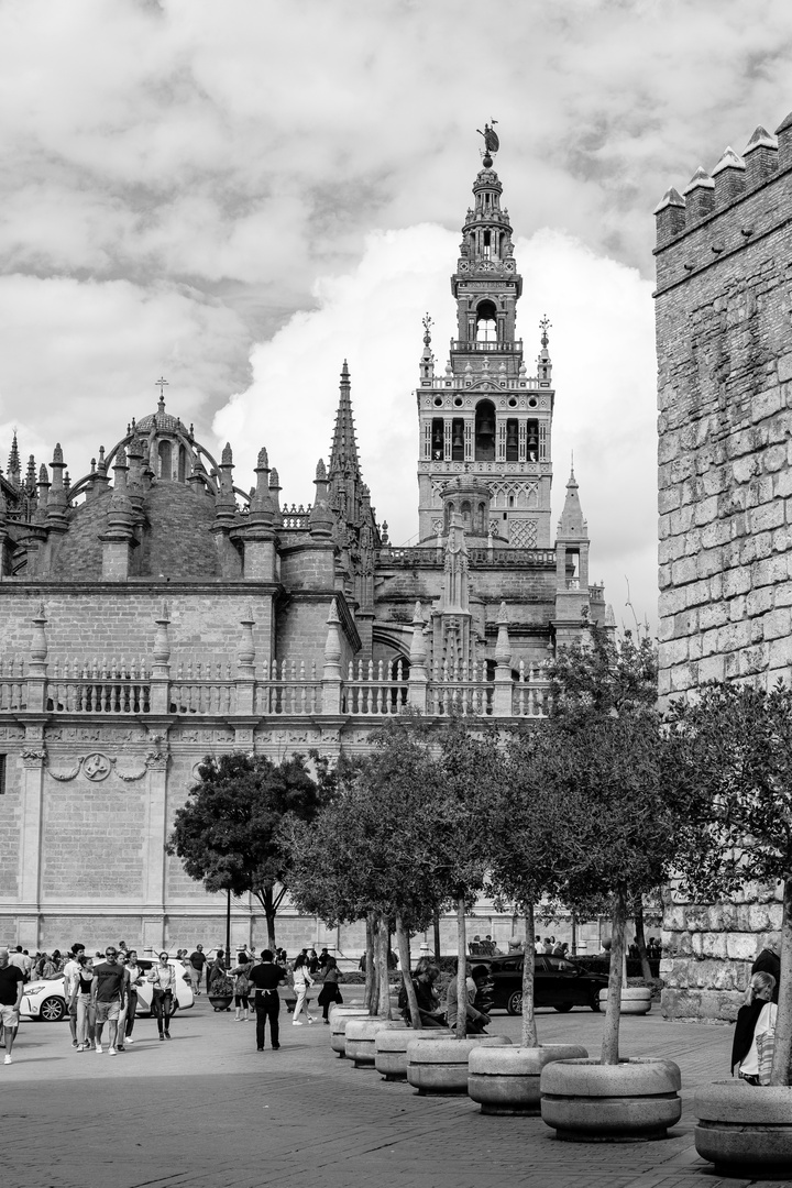 Herbst in Sevilla II