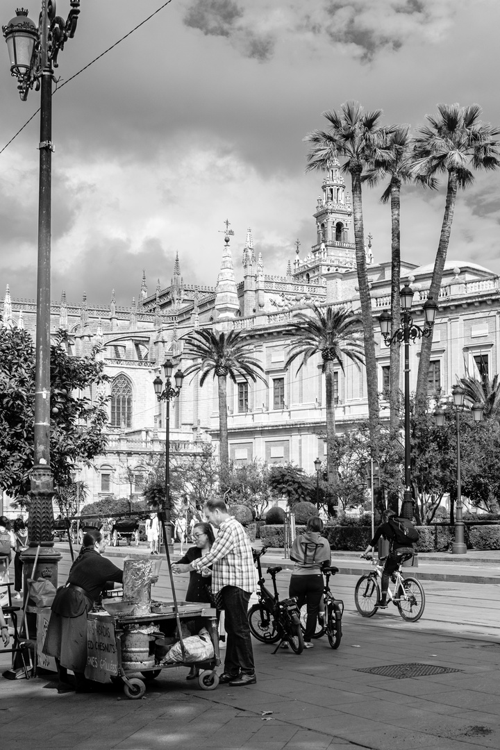 Herbst in Sevilla V