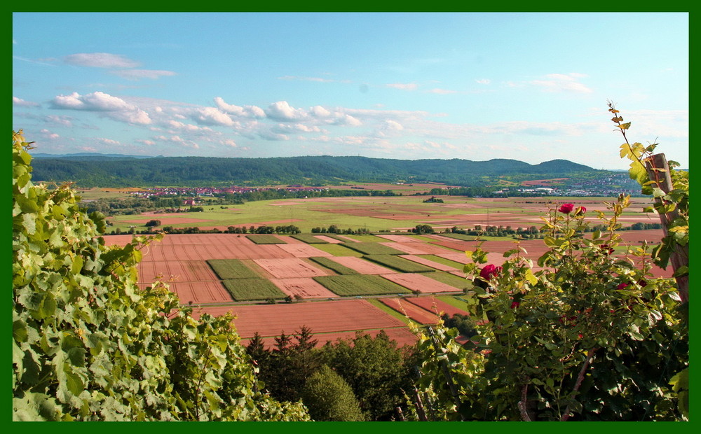 Herbst in Sicht