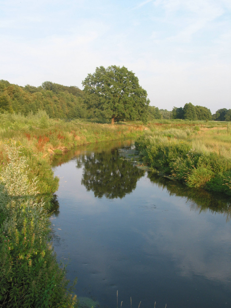 Herbst in Sicht