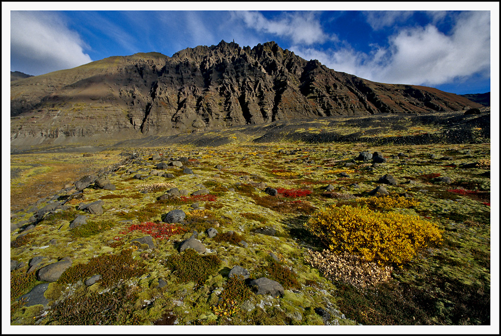 Herbst in Skaftafell #01