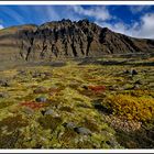 Herbst in Skaftafell #01