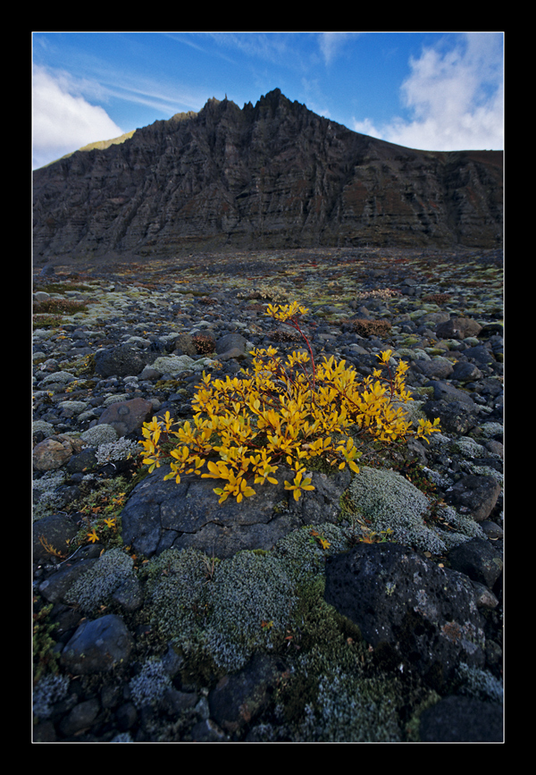 Herbst in Skaftafell #03