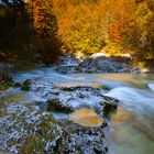Herbst in Slowenien