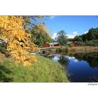 Herbst in Småland