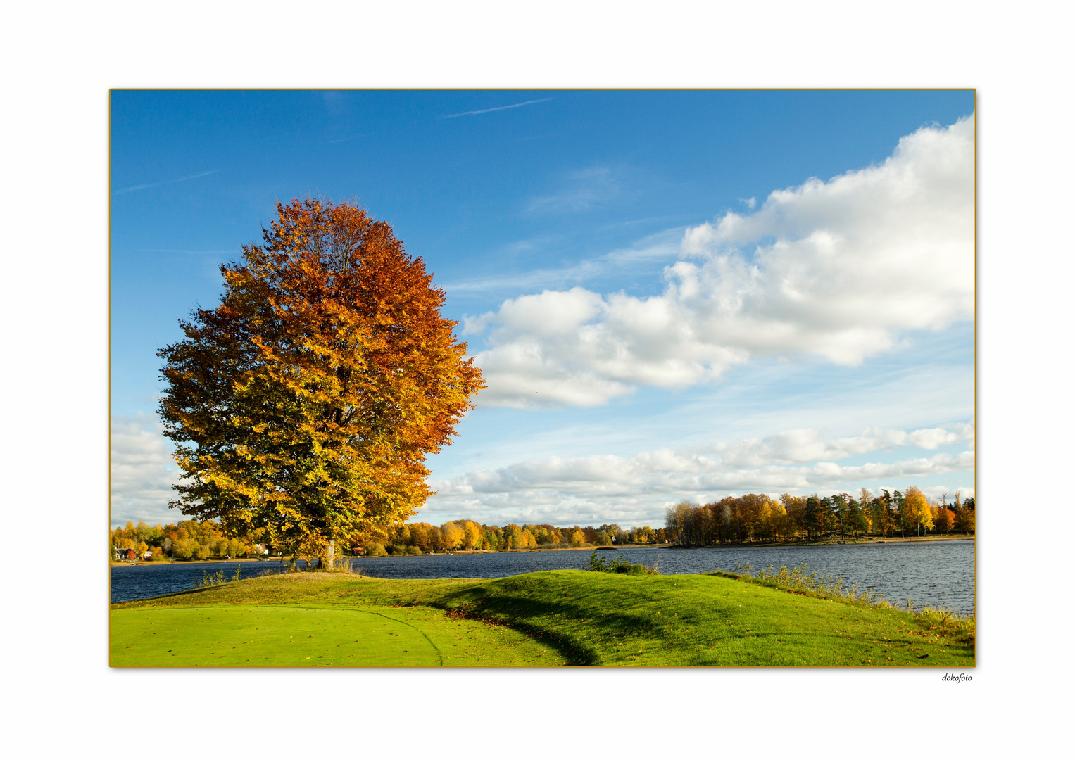 Herbst in Småland