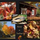 Herbst in Småland / Schweden