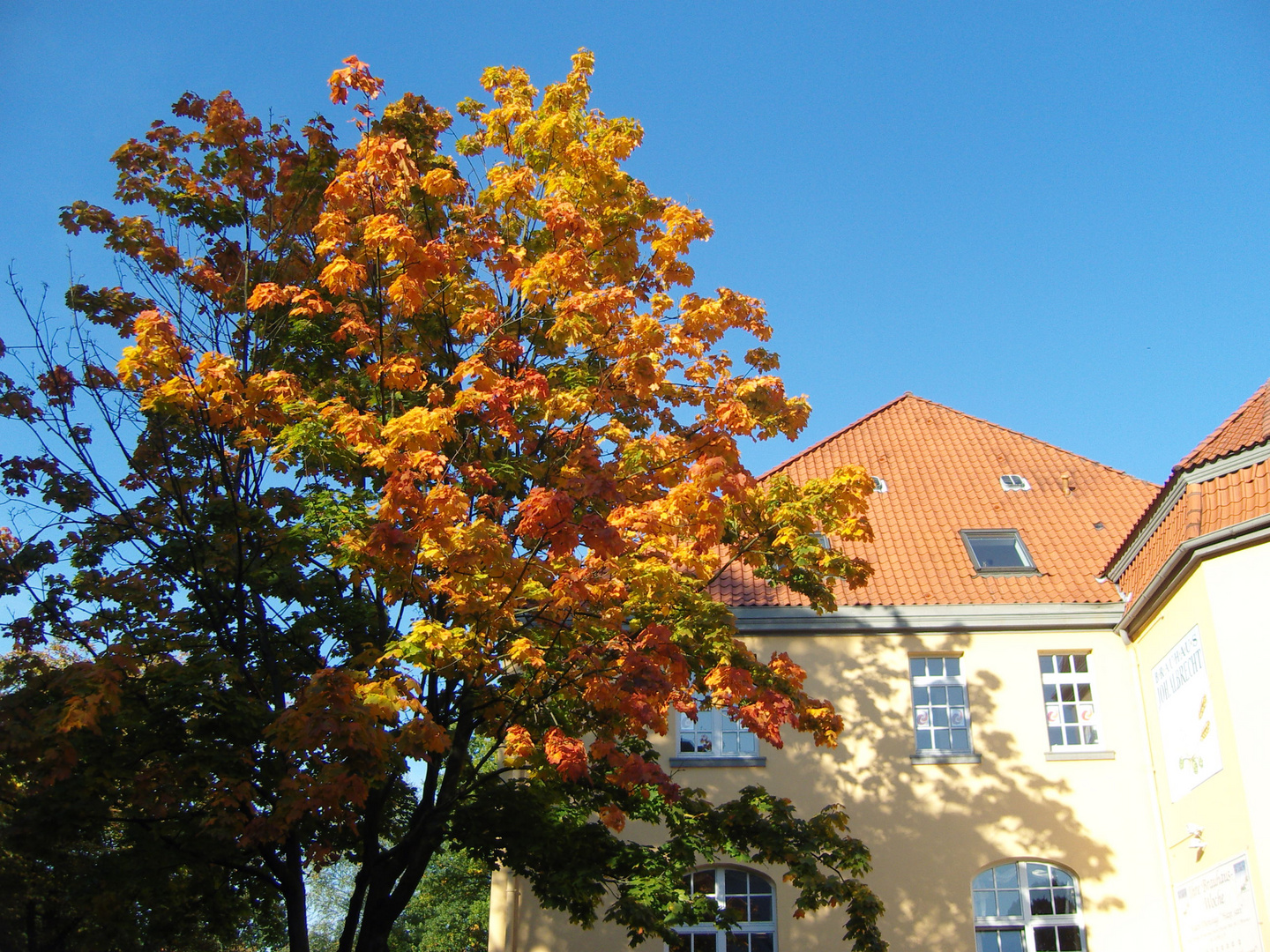 Herbst in Soltau