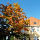 Herbst in Soltau