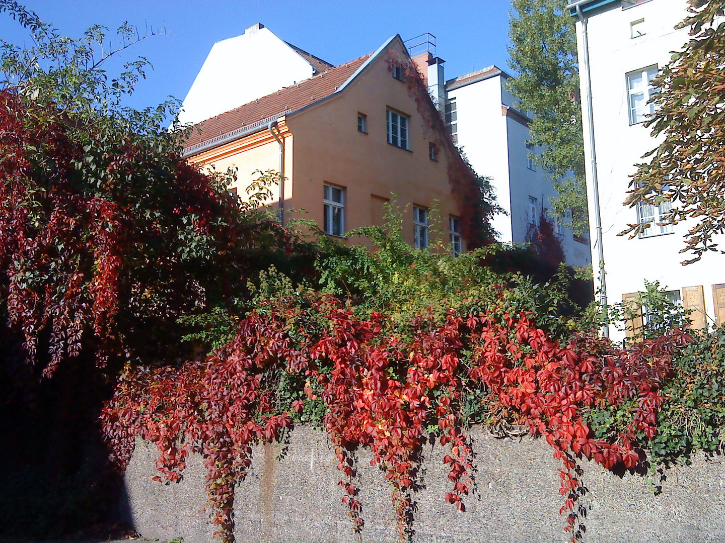 Herbst in Spandau