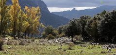 Herbst in Spanien