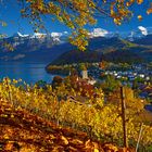 Herbst in Spiez