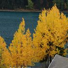 Herbst in St. Moritz