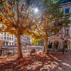 Herbst in Strassburg