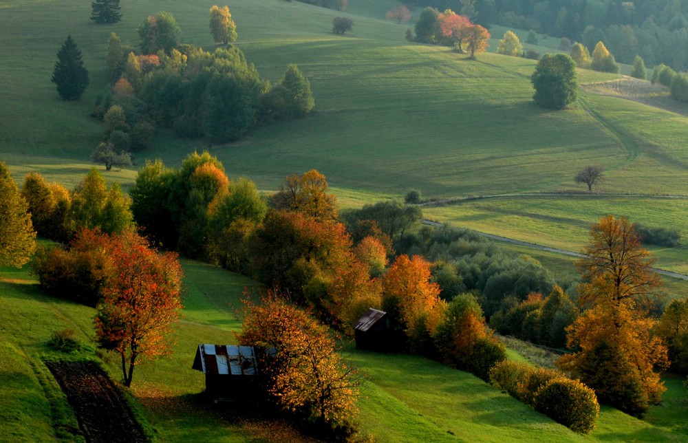 Herbst in Strelniky/Slowakei/