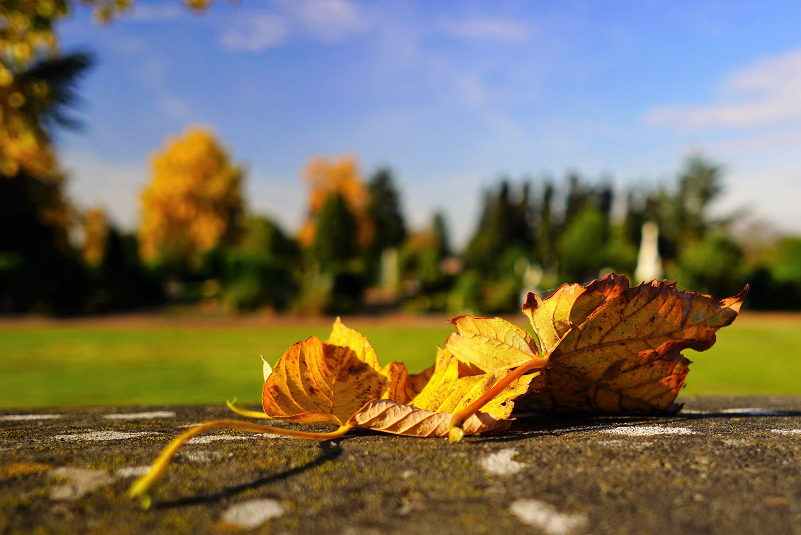 Herbst in St.Tönis