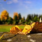 Herbst in St.Tönis