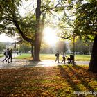 Herbst in Stuttgart