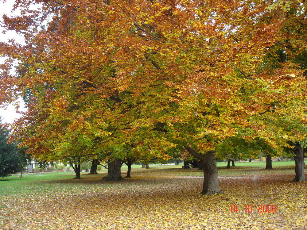 Herbst in Stuttgart