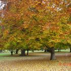 Herbst in Stuttgart