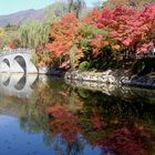 HERBST in SÜDKOREA