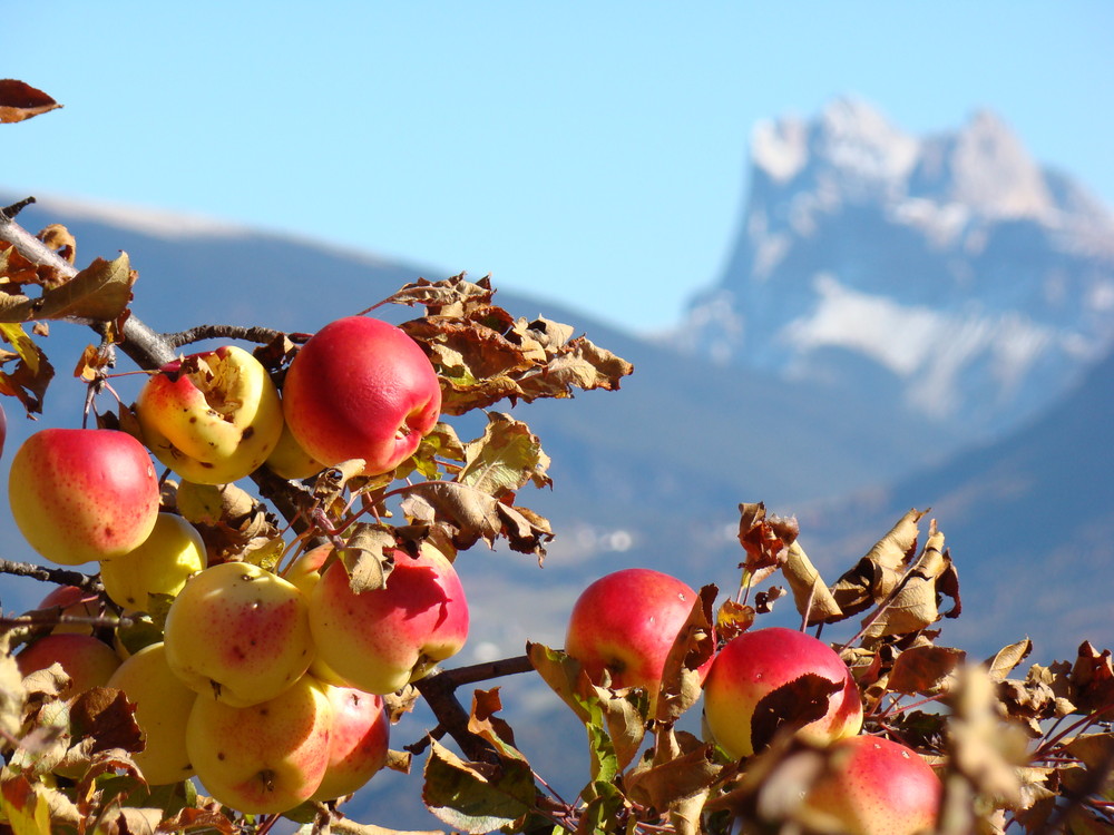 Herbst in Südtirol