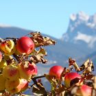 Herbst in Südtirol