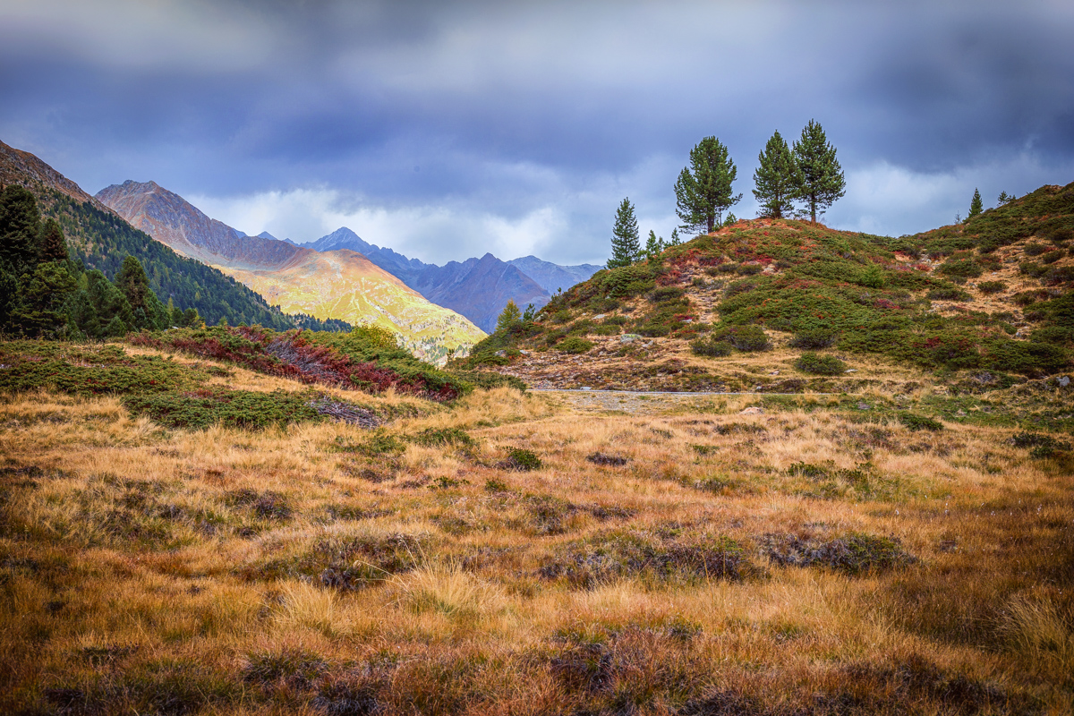 Herbst in Südtirol