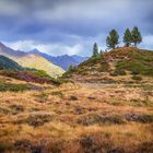 Herbst in Südtirol