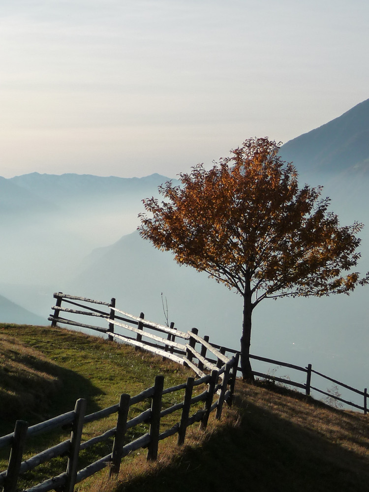 Herbst in Südtirol