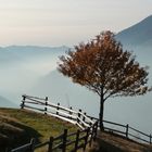 Herbst in Südtirol