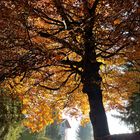 Herbst in Südtirol