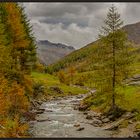 HERBST IN SÜDTIROL