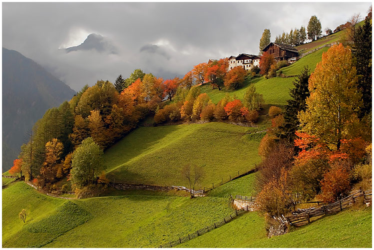 Bild auf in italy, Bilder italy Südtirol Foto Herbst city, marino, s vatican europe, | fotocommunity &