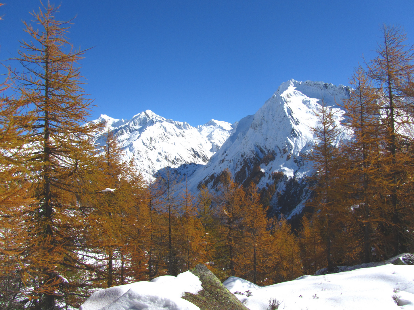 Herbst in Südtirol