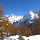 Herbst in Südtirol