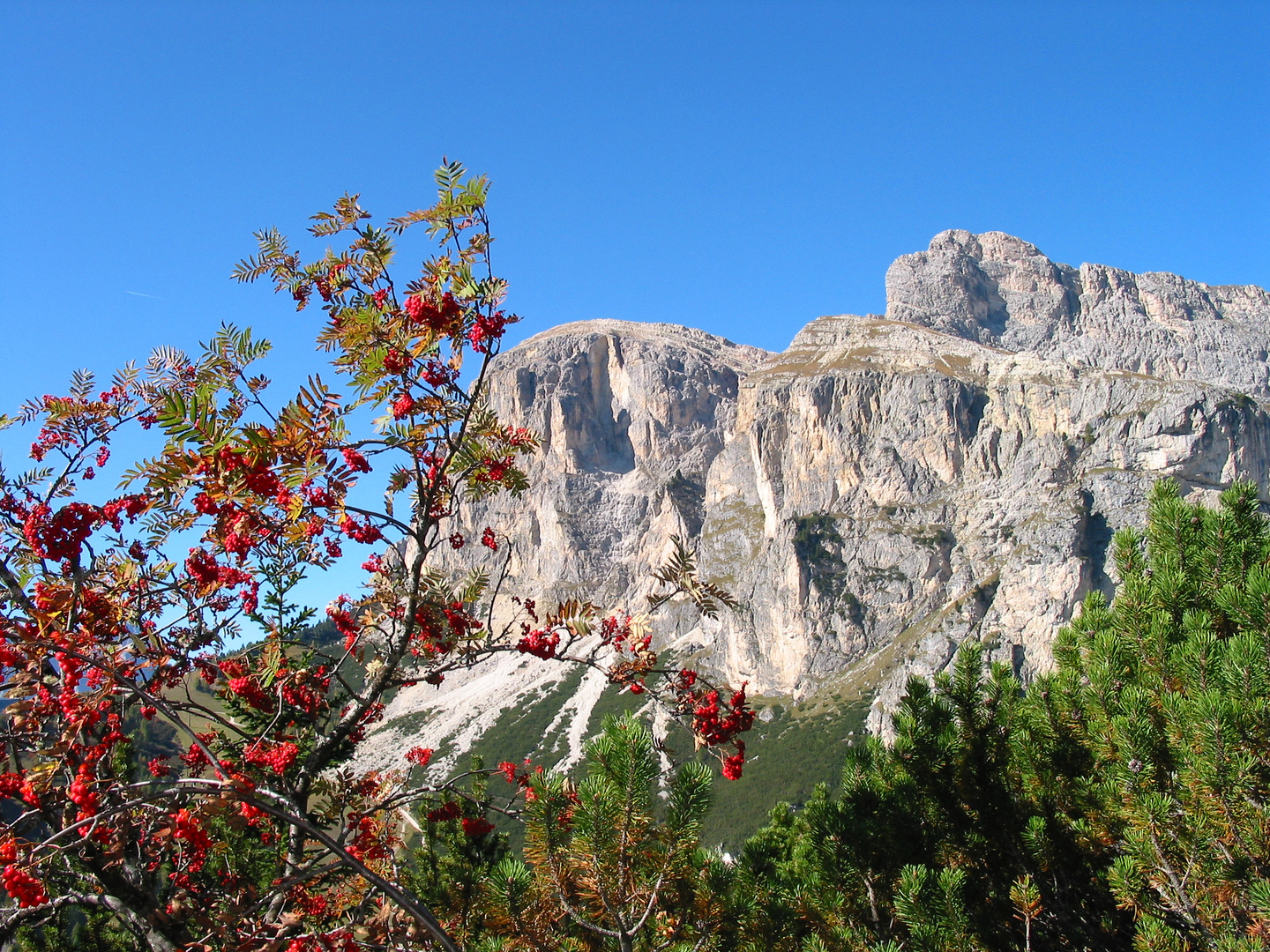 herbst in Südtirol