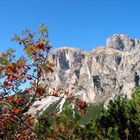 herbst in Südtirol