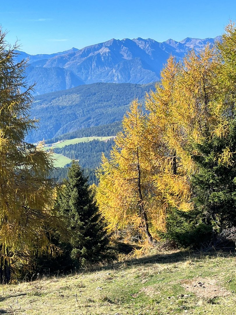 Herbst in Südtirol 