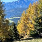 Herbst in Südtirol 